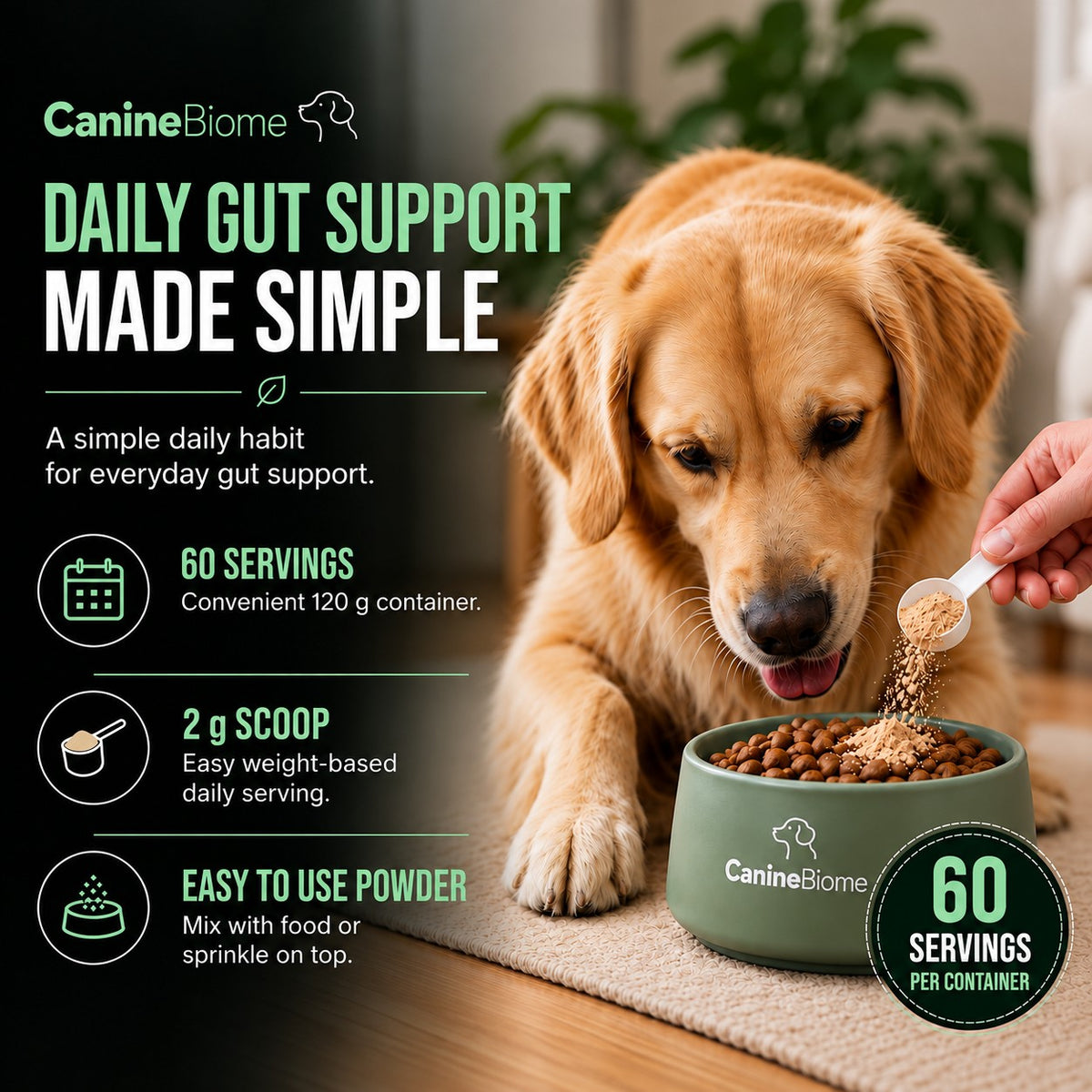 Gut Balance™ Digestive Support Powder for Dogs